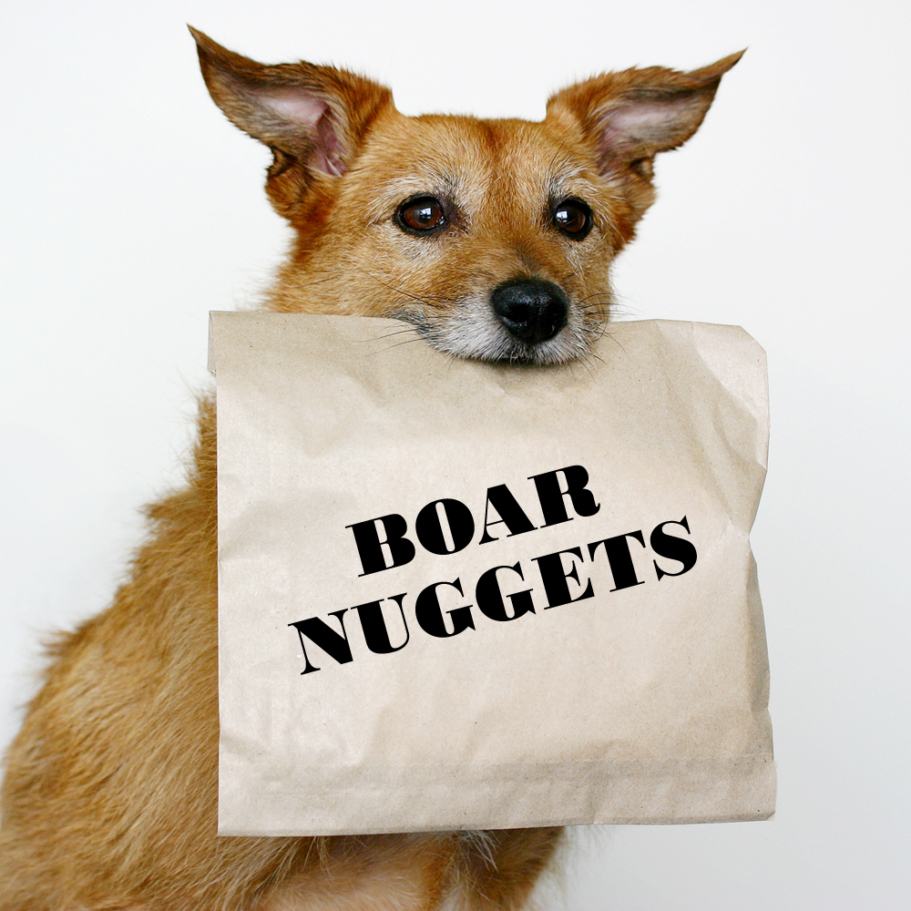 is boar meat good for dogs