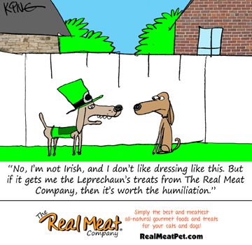 dog wearing green jacket and green hat saying to another dog, "No, I'm not Irish, and I don't like dressing like this. But if it gets me the Leprechaun's treats from The Real Meat Company, then it's worth the humiliation."

Real meat, simply the best and meatiest all-natural gourmet foods and treats for your cats and dogs! realmeatpet.com