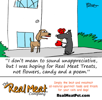 boy dog giving a female dog flowers and candy, female dog says, "I don't mean to sound unappreciative, but I was hoping for real meat treats, not flowers, candy and a poem"
Real meat, simply the best and meatiest all-natural gourmet foods and treats for your cats and dogs! realmeatpet.com